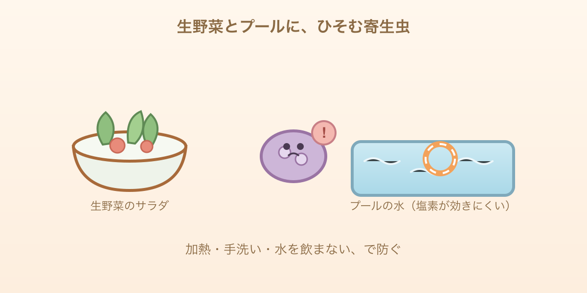 生野菜のサラダとプールの水にひそむ寄生虫サイクロスポラのイラスト。加熱・手洗い・水を飲まないで防ぐ