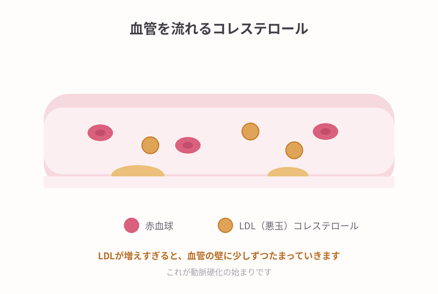 血管を流れるコレステロールのイラスト