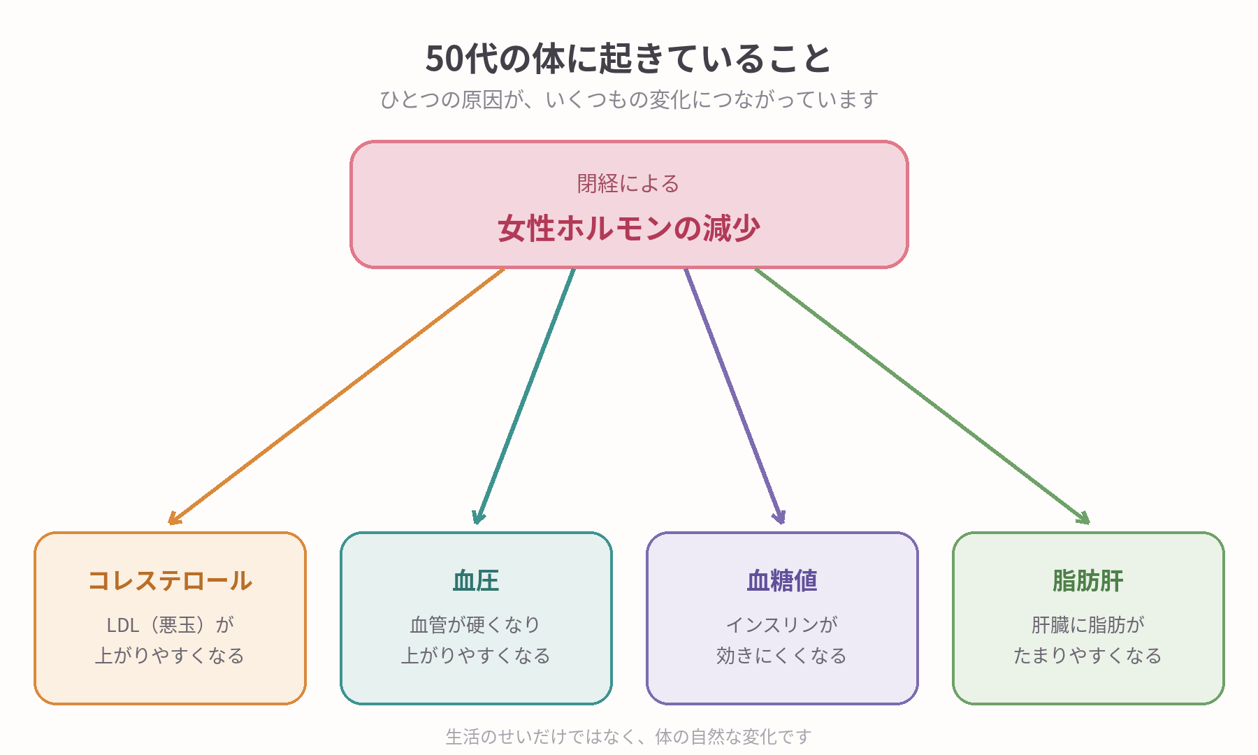 閉経による女性ホルモンの減少が、コレステロール・血圧・血糖値・脂肪肝に影響する関係図