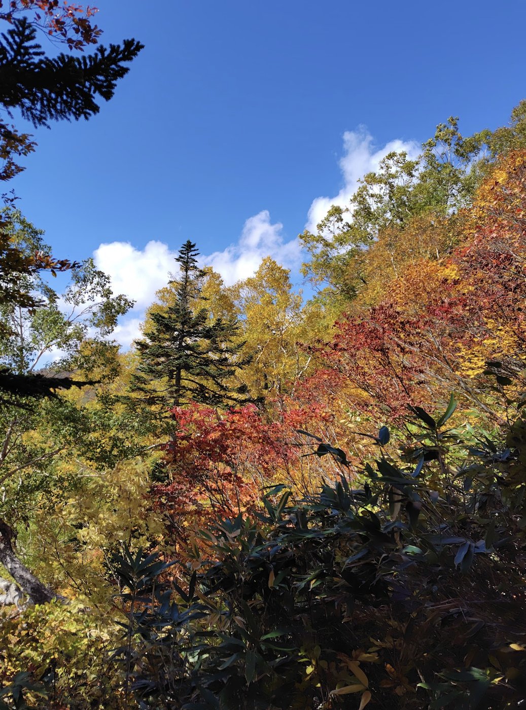 下山後の晴れた空