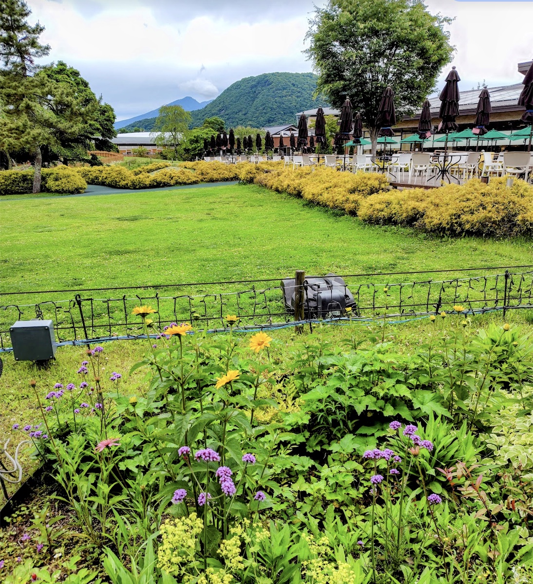 軽井沢アウトレットの花壇と、その向こうに望む浅間山