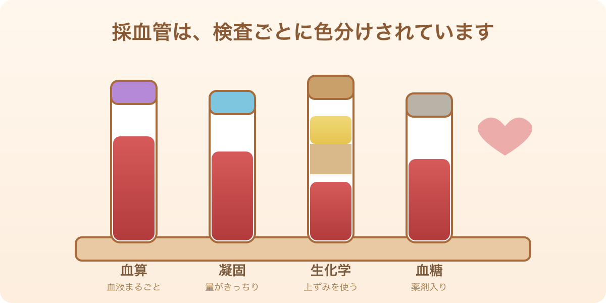 血算・凝固・生化学・血糖と、色分けされた4本の採血管のイラスト