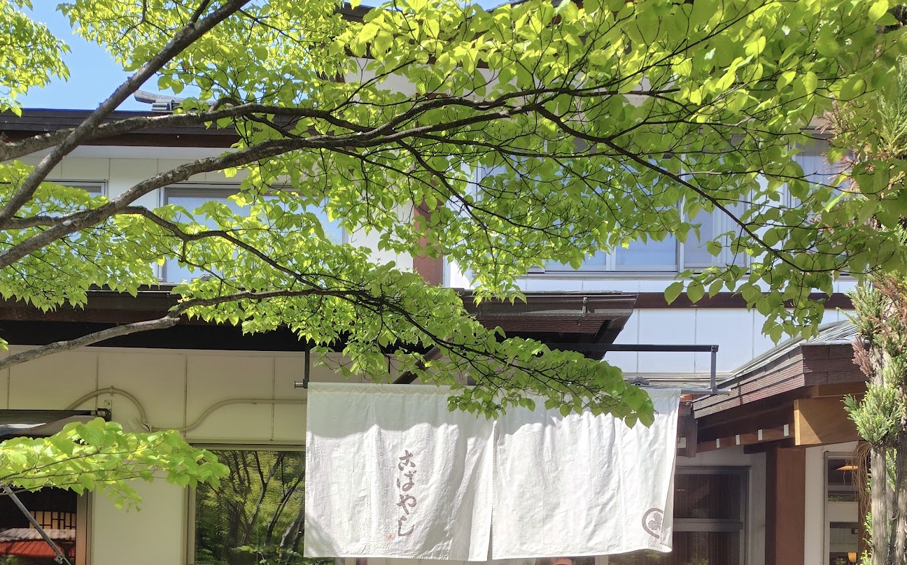 松本・こばやし本店ののれん