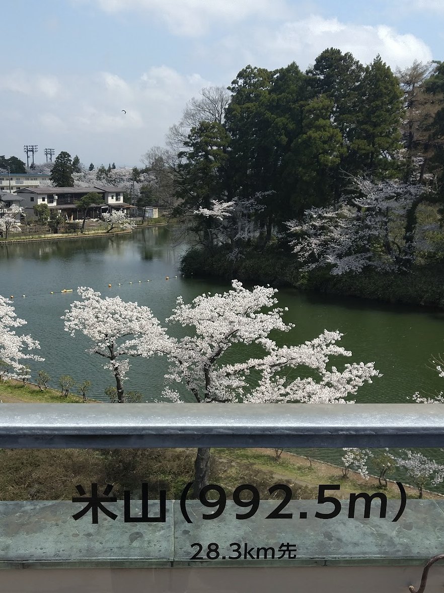 高田城から見た米山と桜のお堀